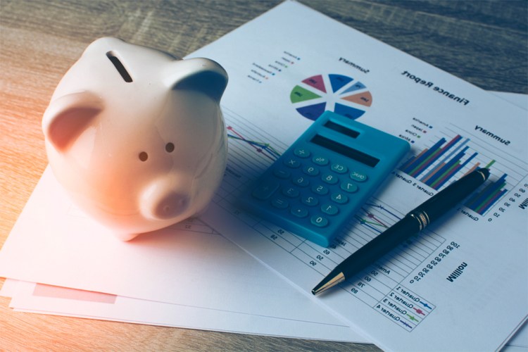 international tax expert